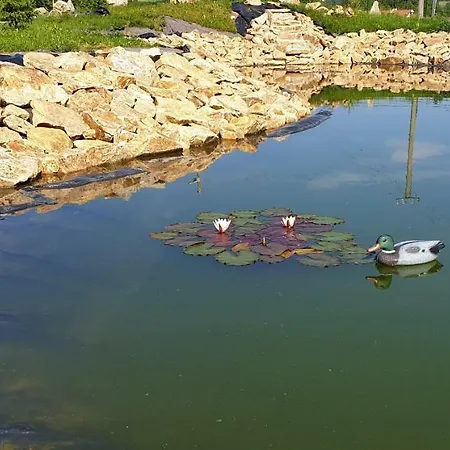 U Pepíčka Gasthof Netolice