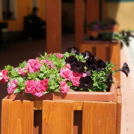 Guest house U Pepicka