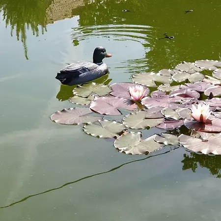 U Pepíčka Netolice