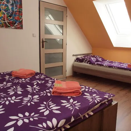 U Pepicka Guest house 3*